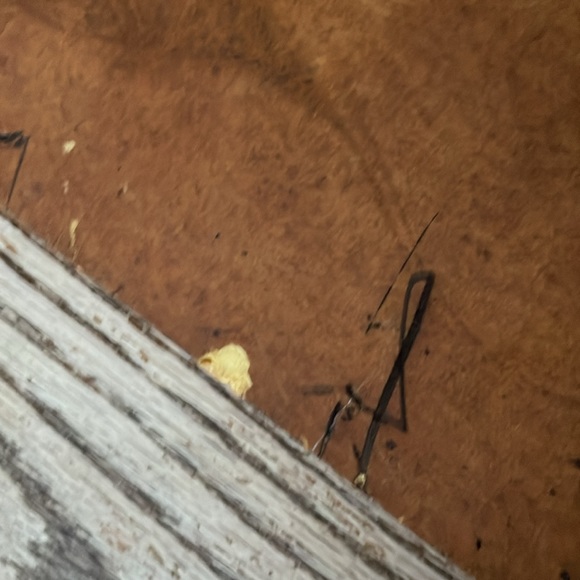 VINTAGE Kim Murray carved wood art Loons Canadiana handmade rustic cabin lake - Picture 8 of 12